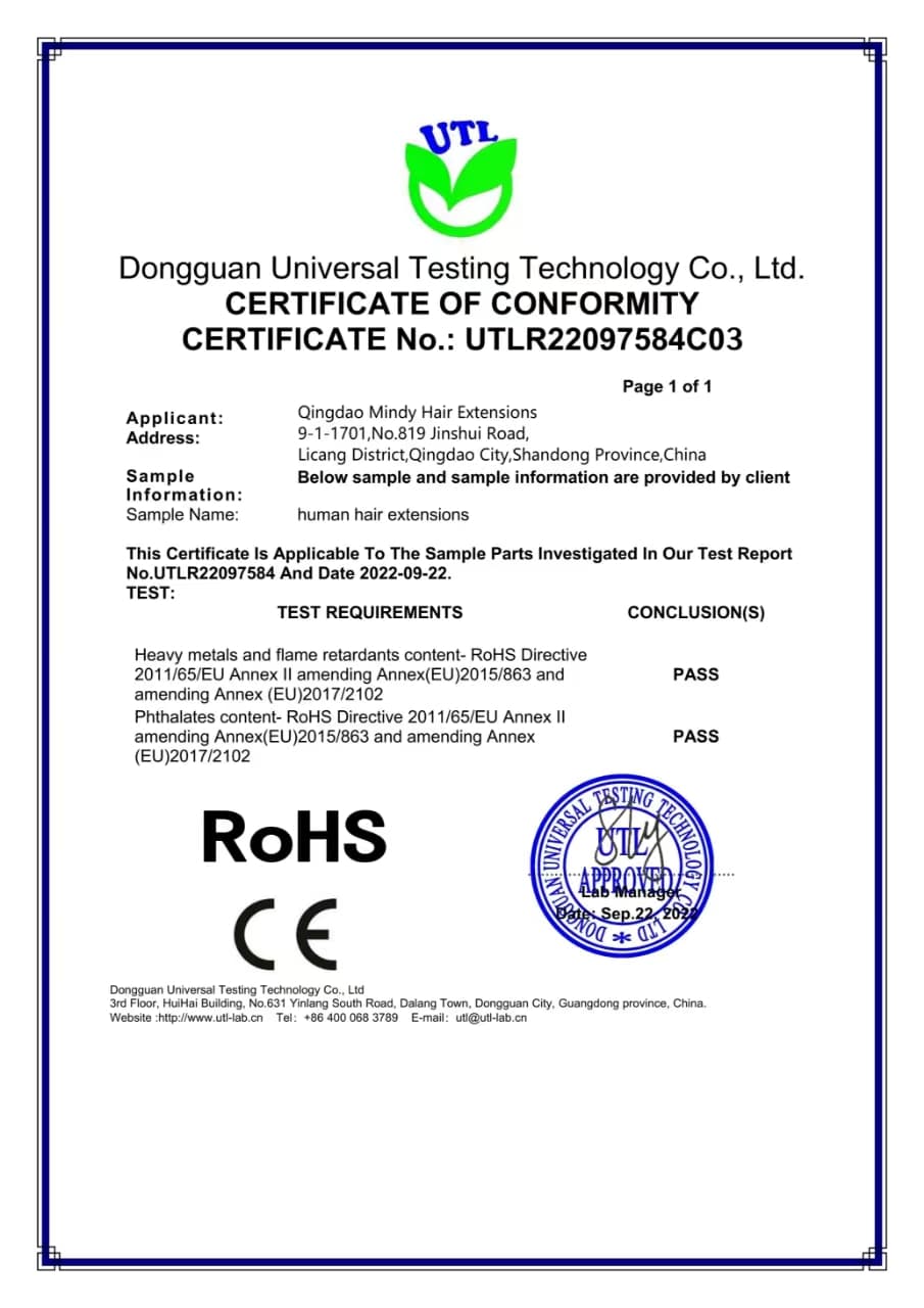 Mindy Hair Extensions certificate document 3
