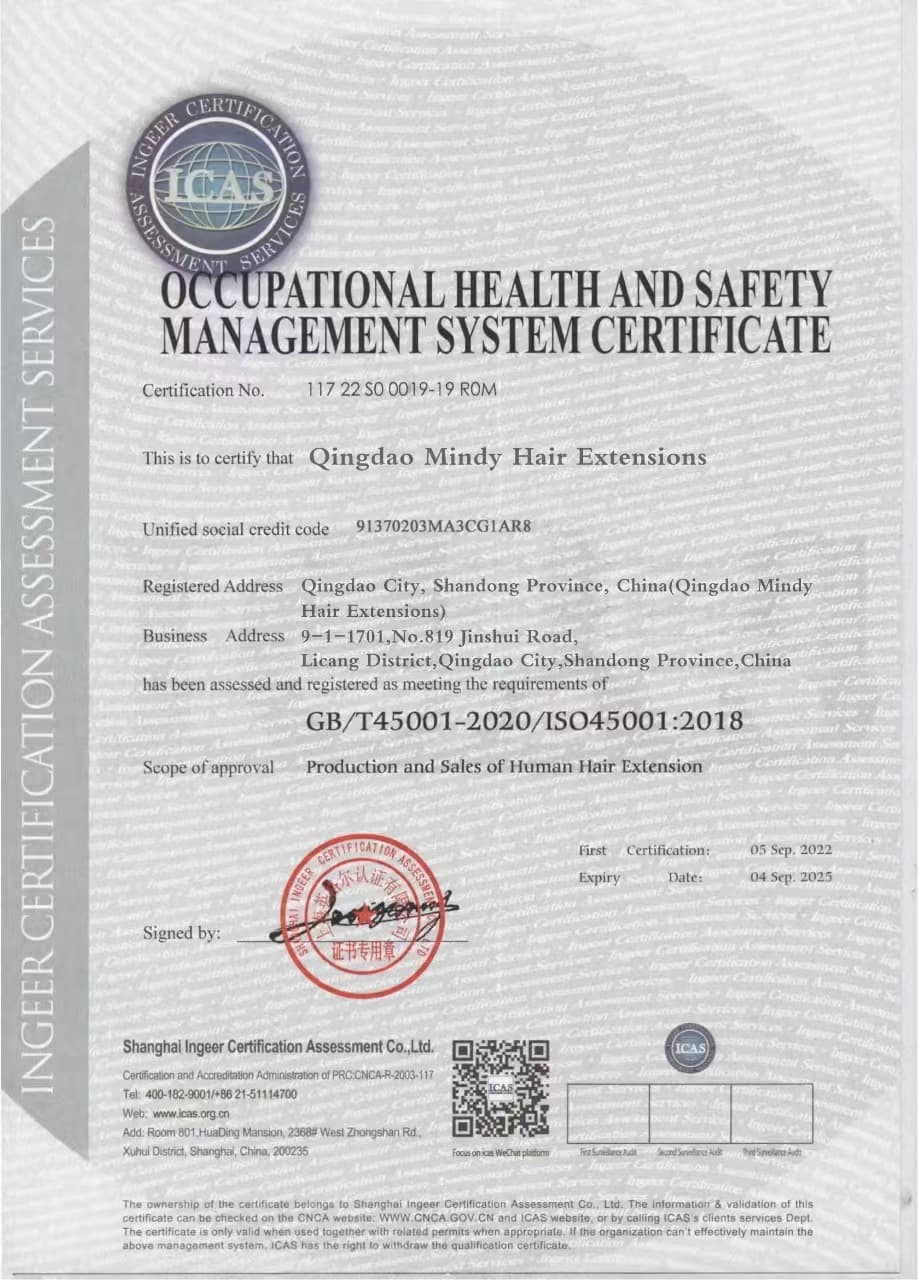 Mindy Hair Extensions certificate document 4